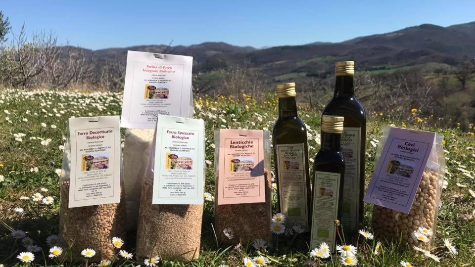 Agriturismo Il Castello Assisi Eksteriør bilde