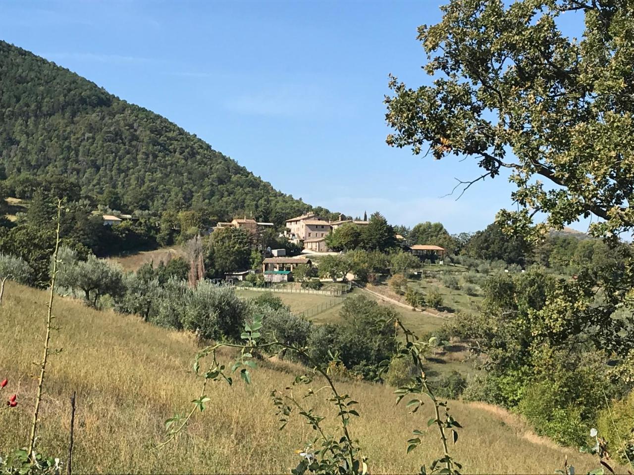 Agriturismo Il Castello Assisi Eksteriør bilde